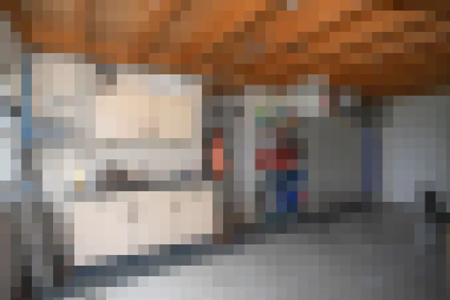 Zekteweg 6 a Geesteren thumbnail 80