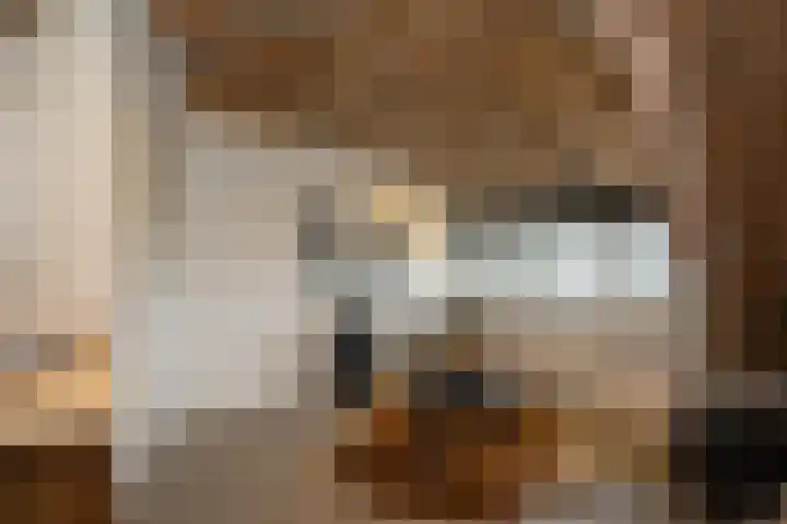 Zekteweg 6 a Geesteren thumbnail 81