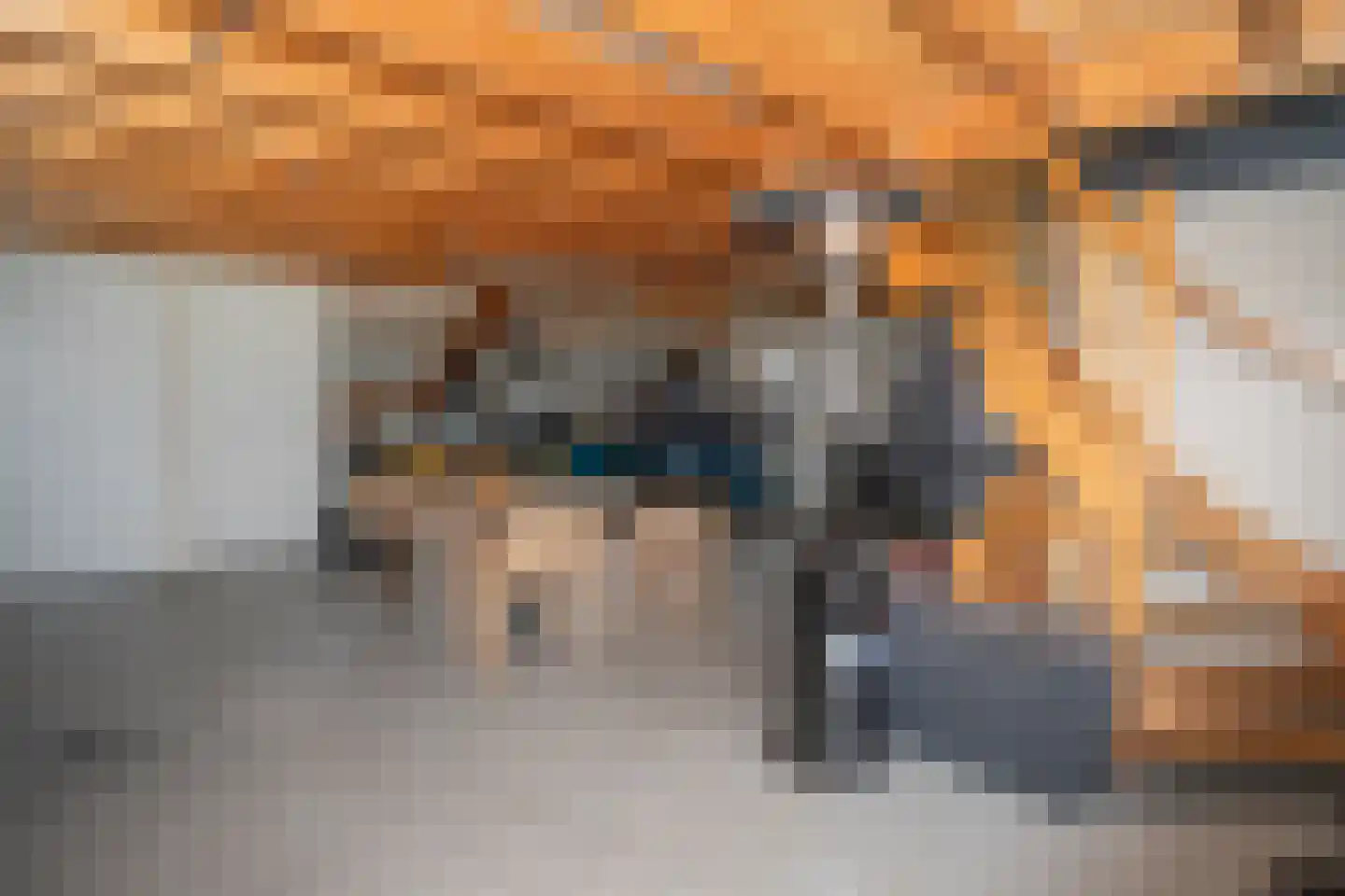 Zekteweg 6 a Geesteren thumbnail 81