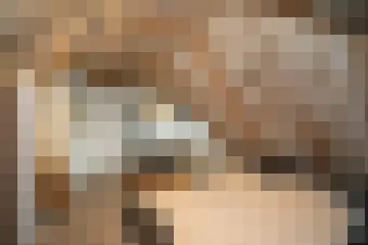 Zekteweg 6 a Geesteren thumbnail 82
