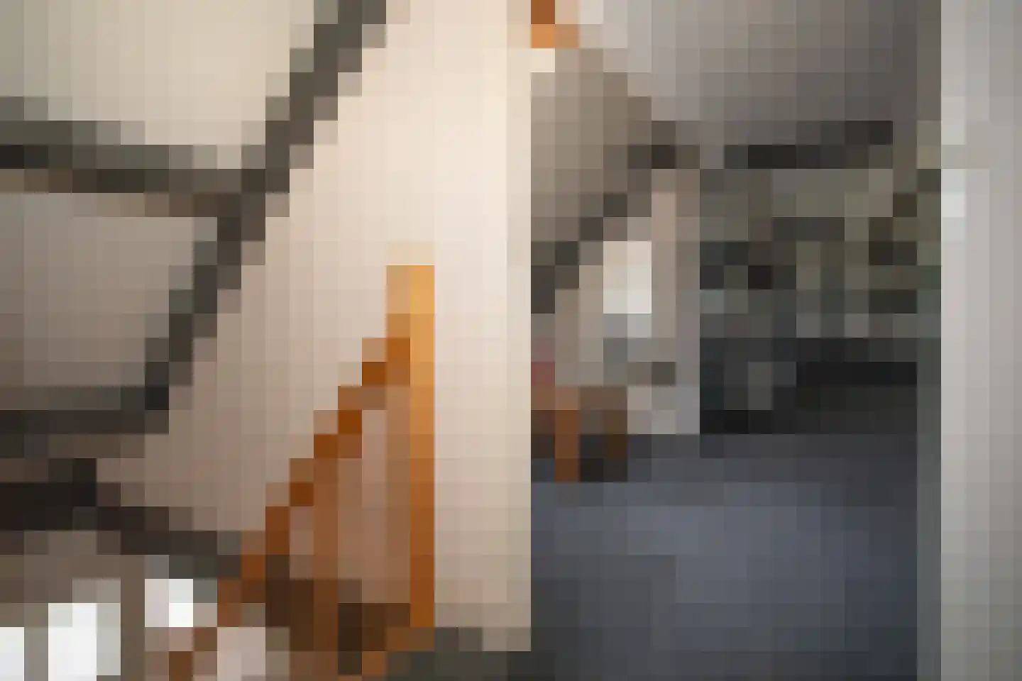 Zekteweg 6 a Geesteren thumbnail 82