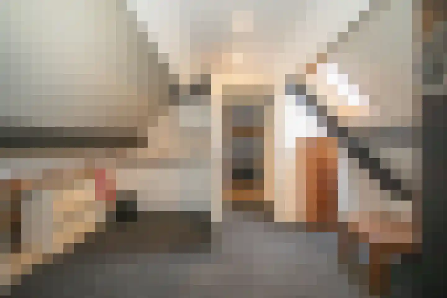 Zekteweg 6 a Geesteren thumbnail 85