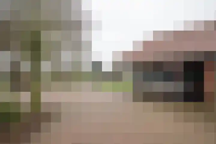 Zekteweg 6 a Geesteren thumbnail 86