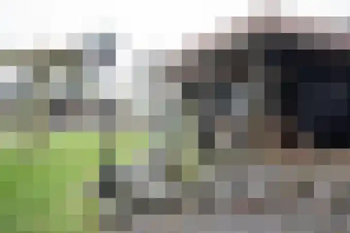 Zekteweg 6 a Geesteren thumbnail 87