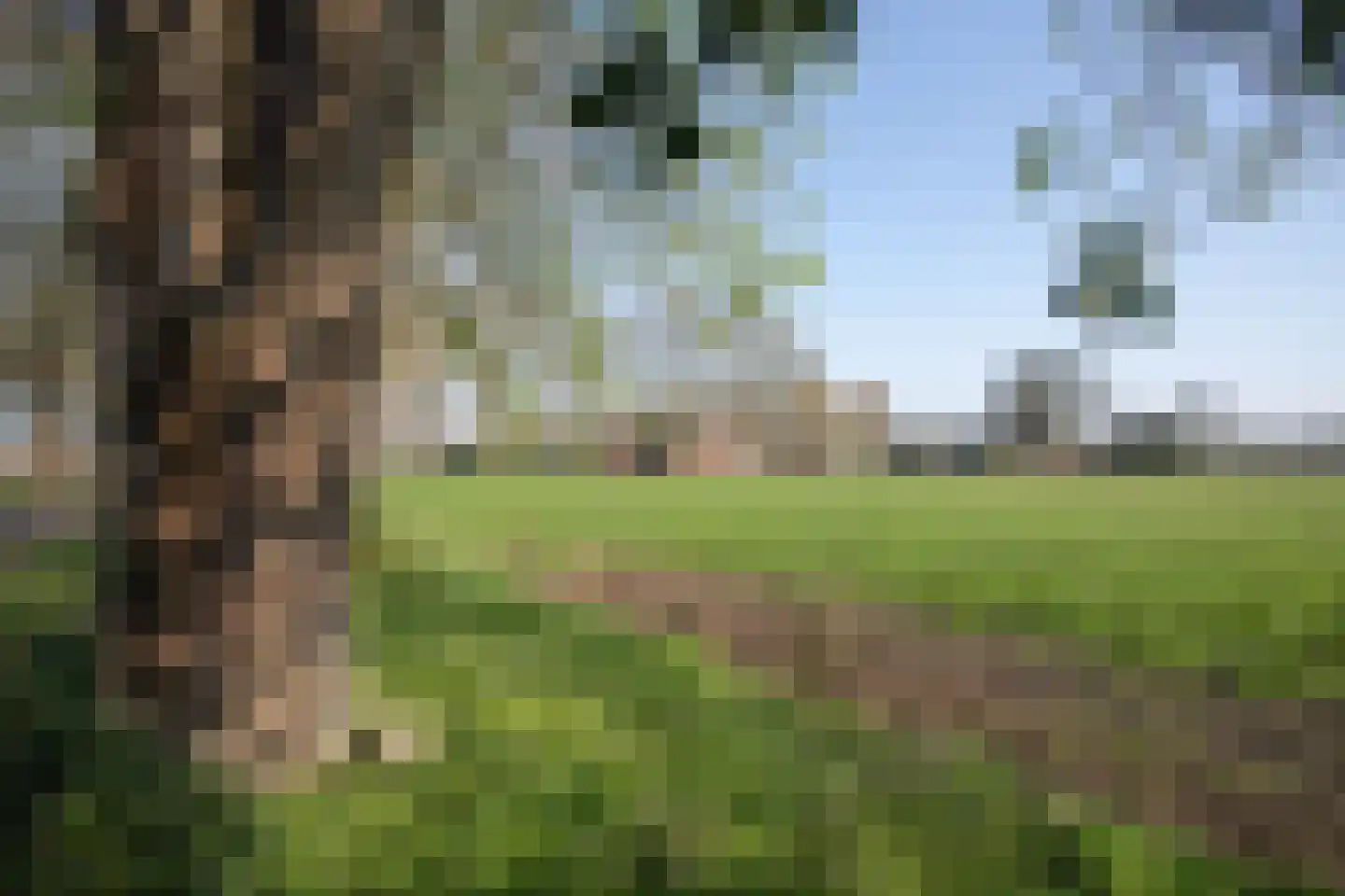 Zekteweg 6 a Geesteren thumbnail 87