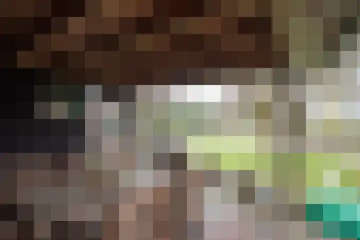 Zekteweg 6 a Geesteren thumbnail 88