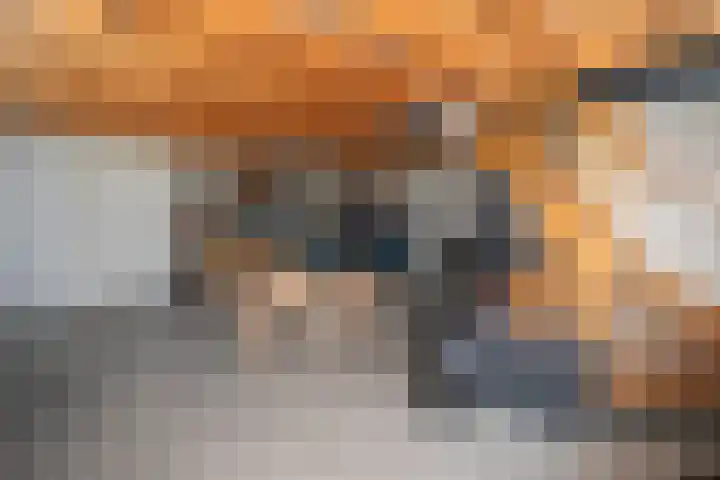 Zekteweg 6 a Geesteren thumbnail 91