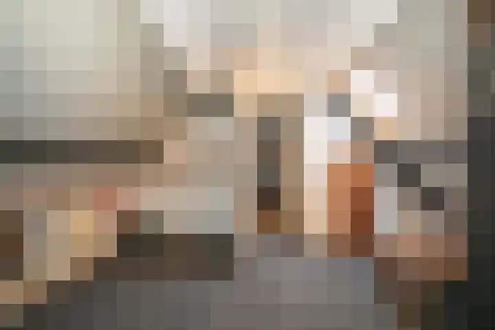 Zekteweg 6 a Geesteren thumbnail 95