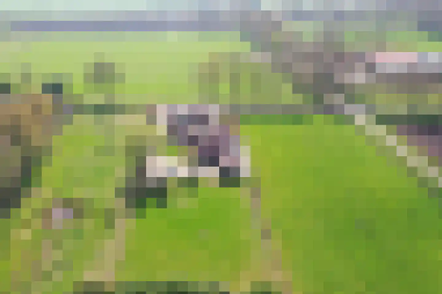 Zekteweg 6 a Geesteren thumbnail 98