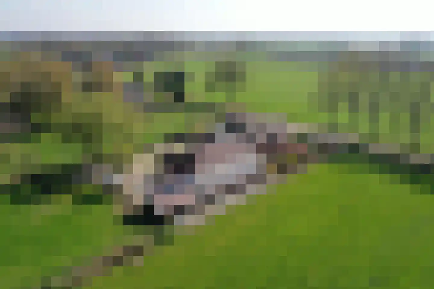 Zekteweg 6 a Geesteren thumbnail 99