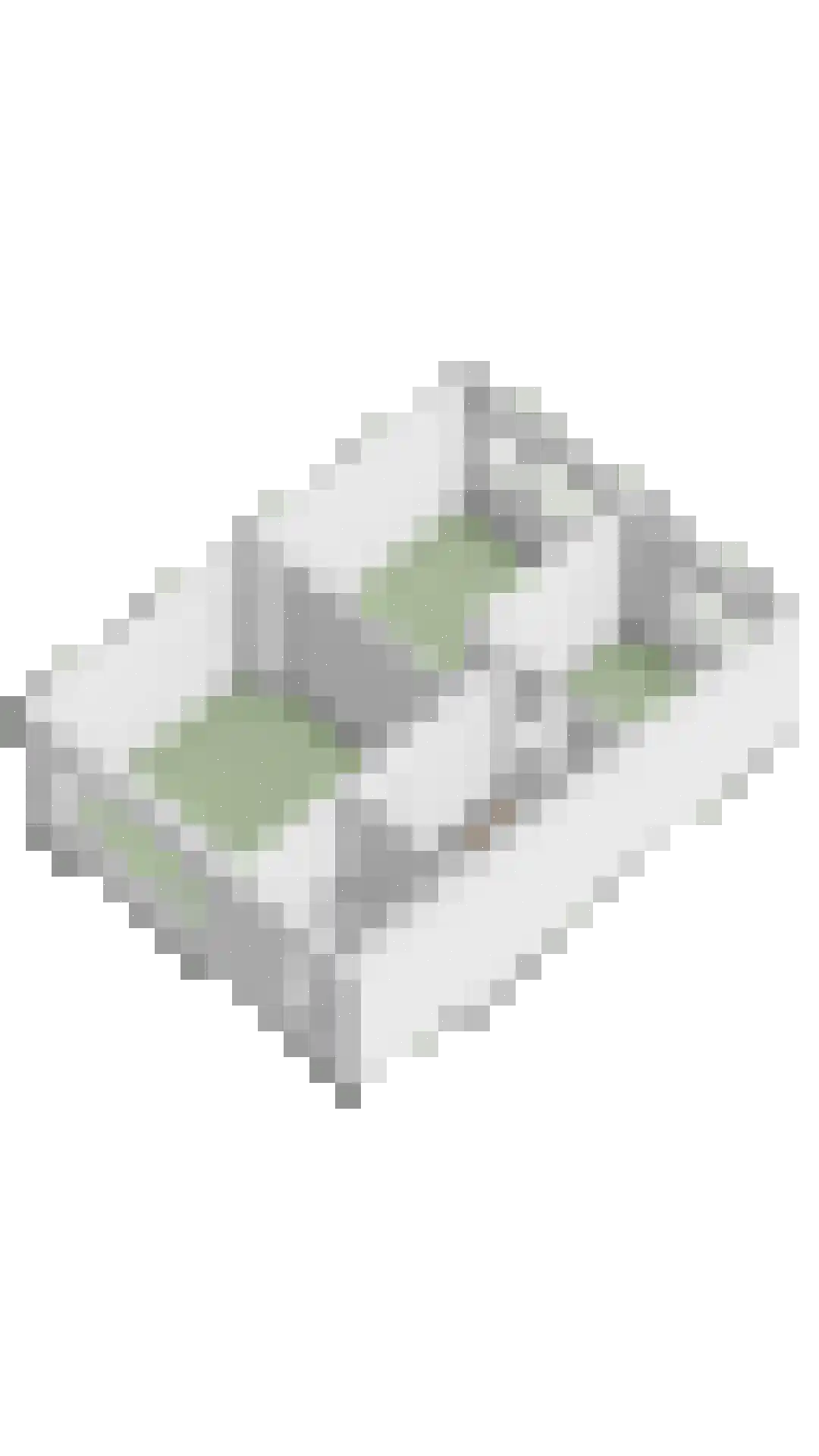 Zeldenrustlaan 10 Terneuzen thumbnail 53