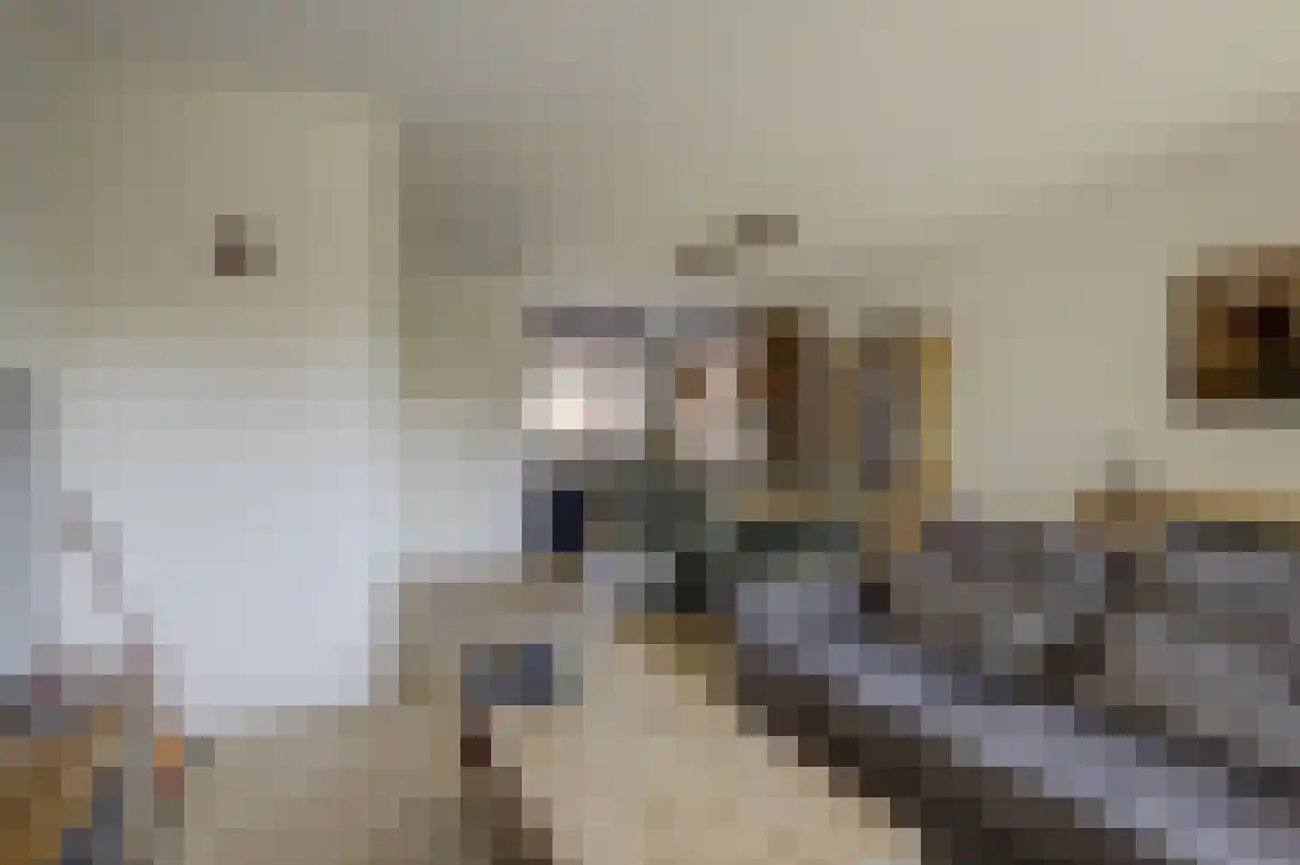 Zeldenrustlaan 18 Raamsdonksveer thumbnail 13