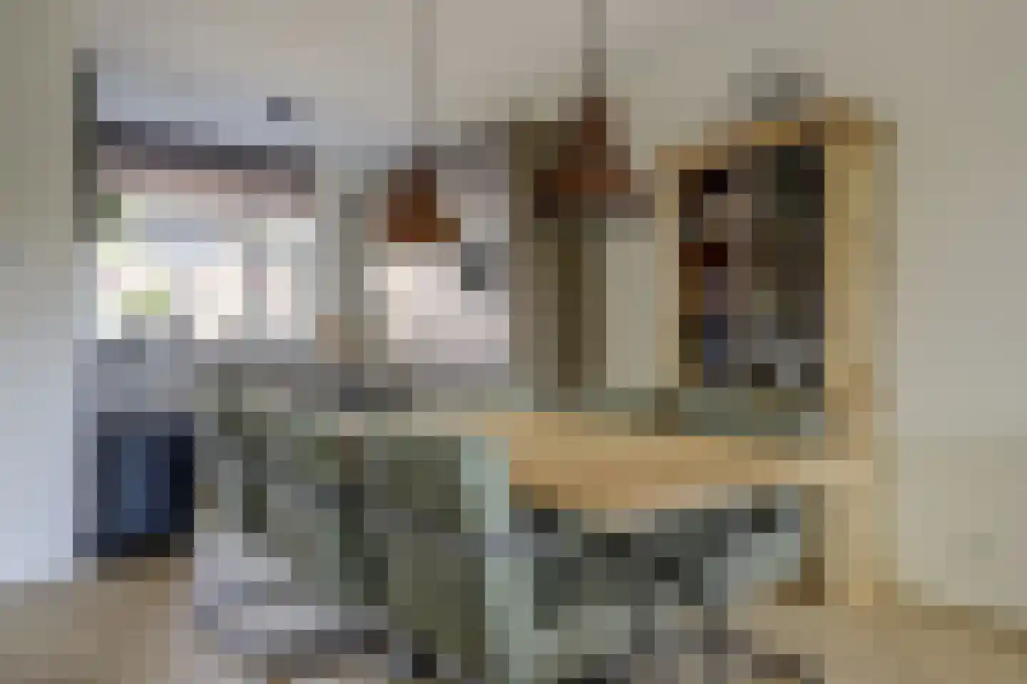 Zeldenrustlaan 18 Raamsdonksveer thumbnail 15