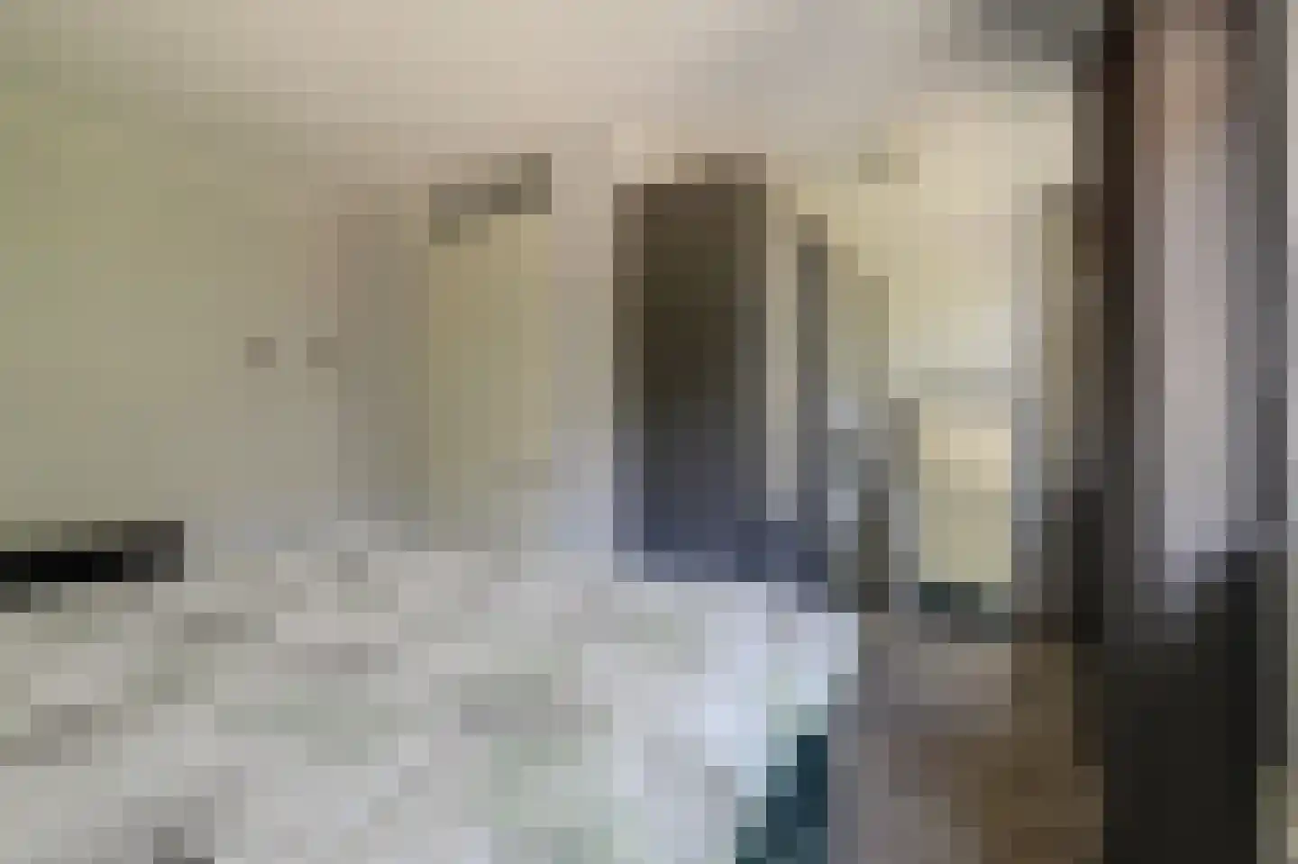Zeldenrustlaan 18 Raamsdonksveer thumbnail 21