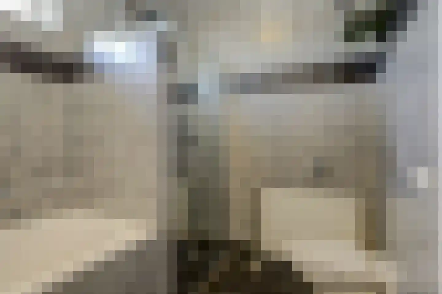 Zeldenrustlaan 18 Raamsdonksveer thumbnail 24