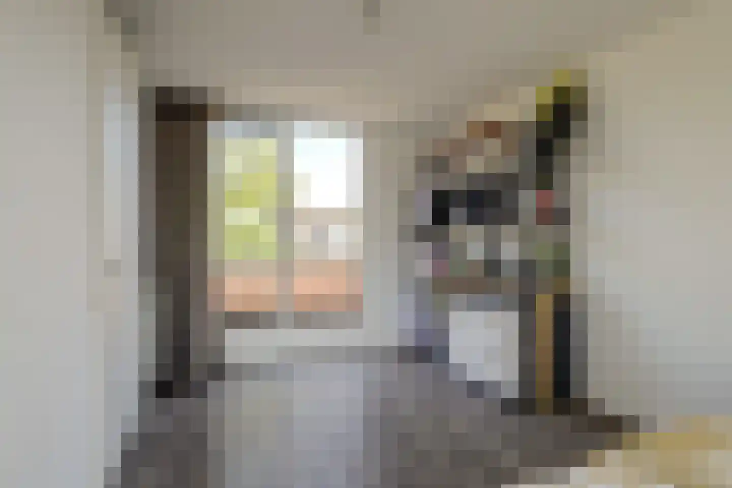 Zeldenrustlaan 18 Raamsdonksveer thumbnail 31