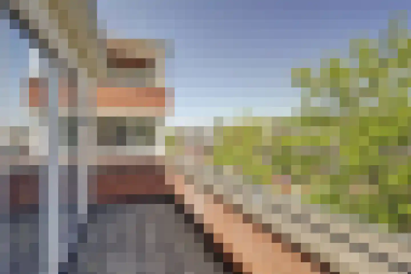 Zeldenrustlaan 18 Raamsdonksveer thumbnail 32