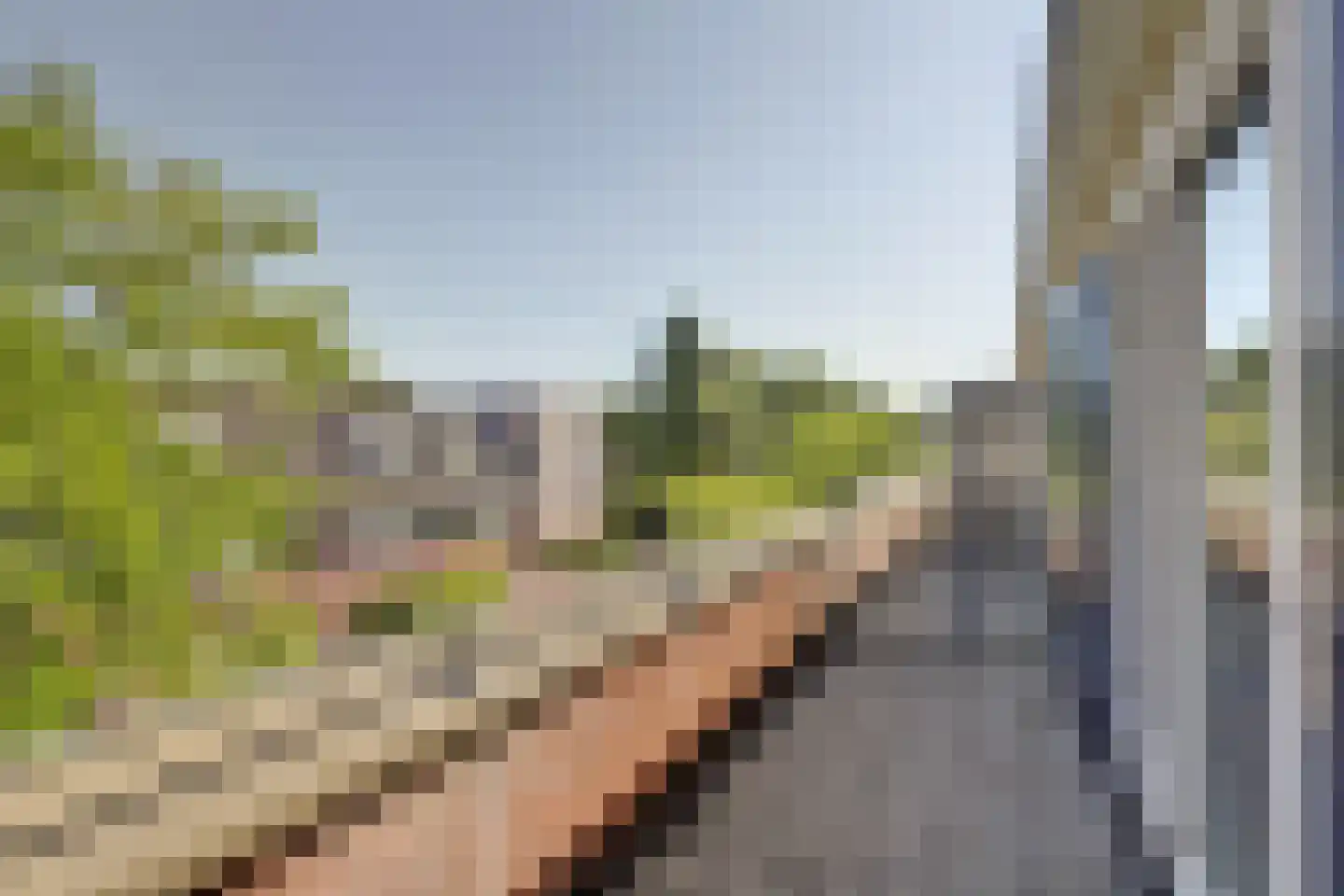 Zeldenrustlaan 18 Raamsdonksveer thumbnail 33