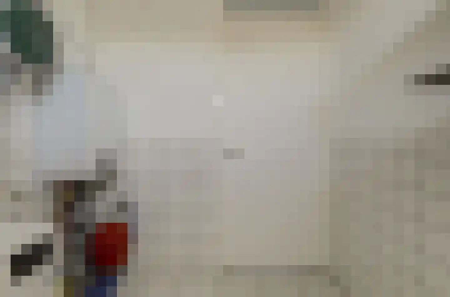 Zeldenrustlaan 18 Raamsdonksveer thumbnail 35