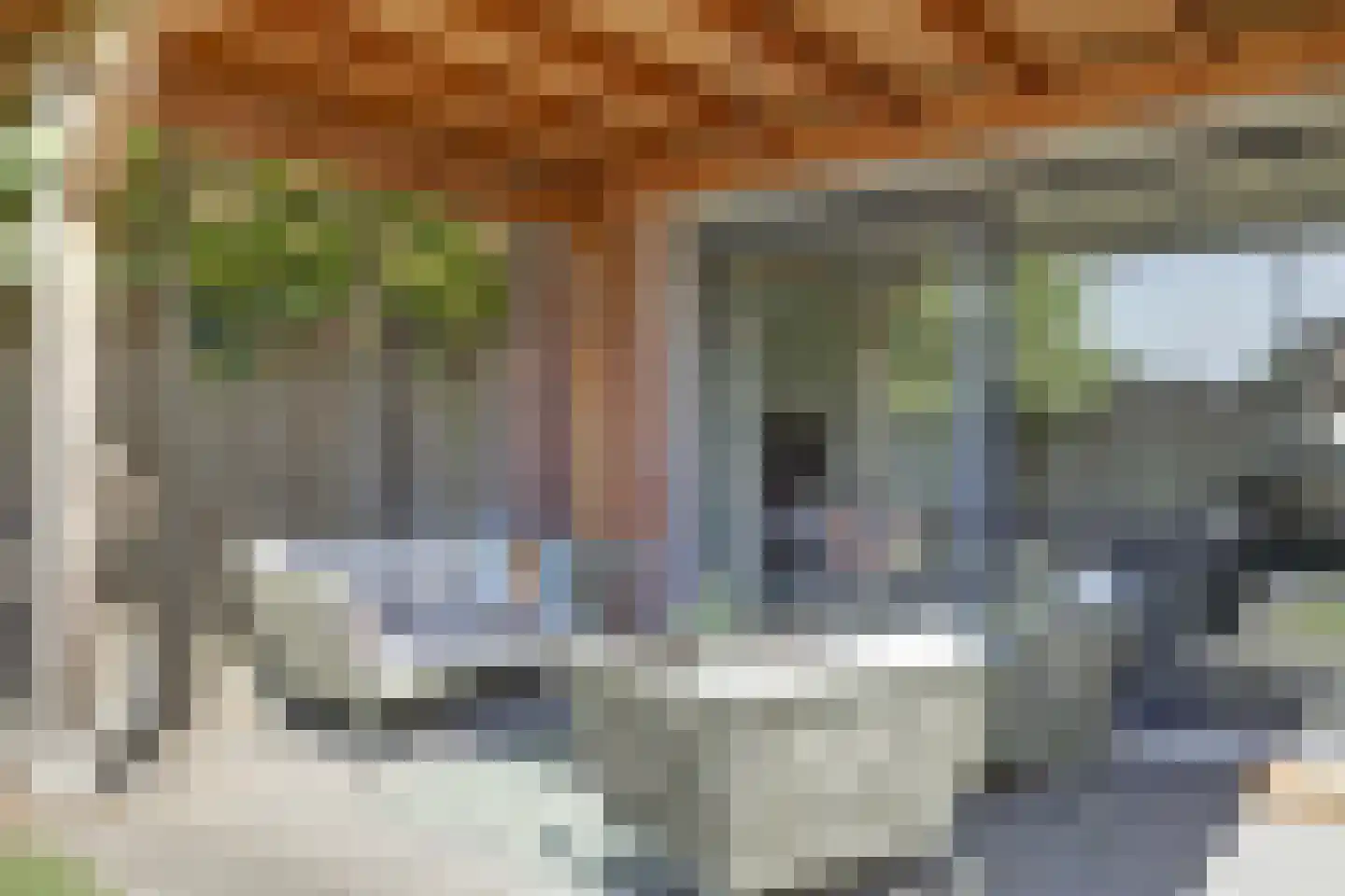 Zeldenrustlaan 18 Raamsdonksveer thumbnail 38