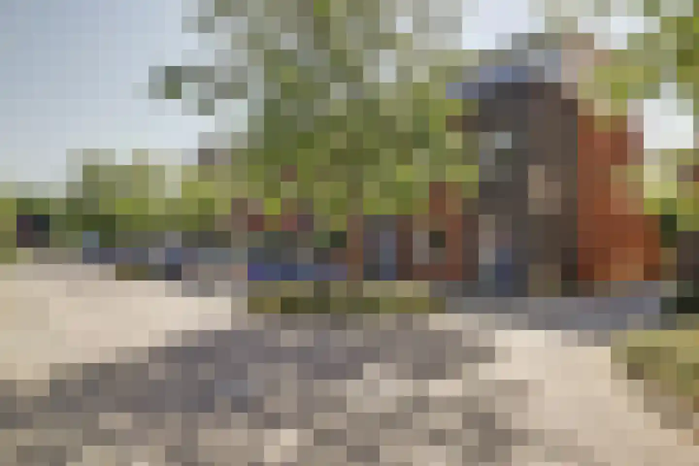 Zeldenrustlaan 18 Raamsdonksveer thumbnail 6