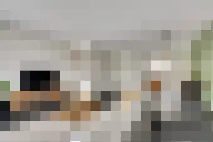 Zeldenrustlaan 20 Raamsdonksveer thumbnail 10