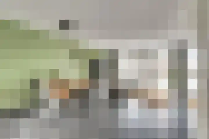 Zeldenrustlaan 20 Raamsdonksveer thumbnail 11