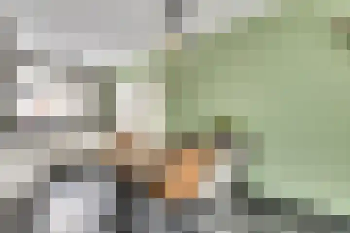 Zeldenrustlaan 20 Raamsdonksveer thumbnail 12