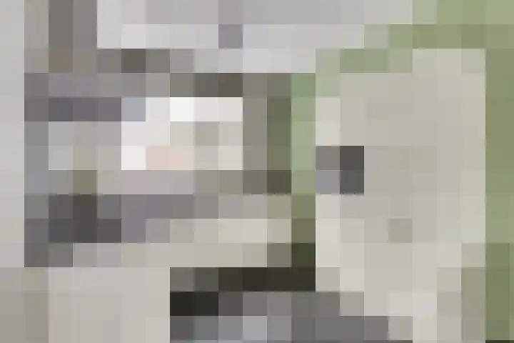 Zeldenrustlaan 20 Raamsdonksveer thumbnail 13