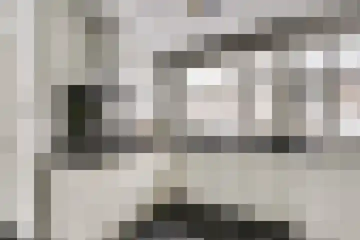 Zeldenrustlaan 20 Raamsdonksveer thumbnail 14