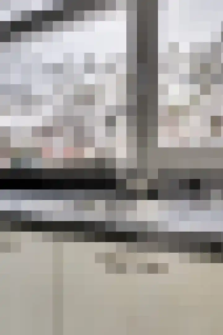 Zeldenrustlaan 20 Raamsdonksveer thumbnail 15