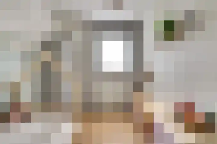 Zeldenrustlaan 20 Raamsdonksveer thumbnail 21