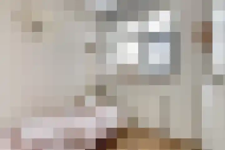 Zeldenrustlaan 20 Raamsdonksveer thumbnail 22