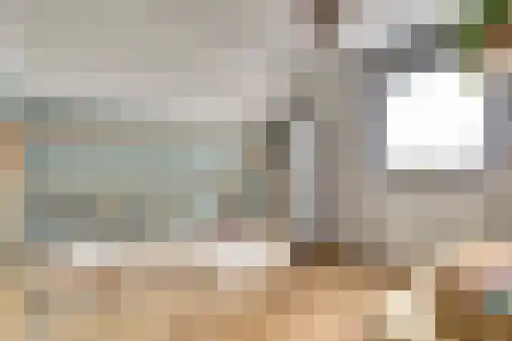 Zeldenrustlaan 20 Raamsdonksveer thumbnail 24