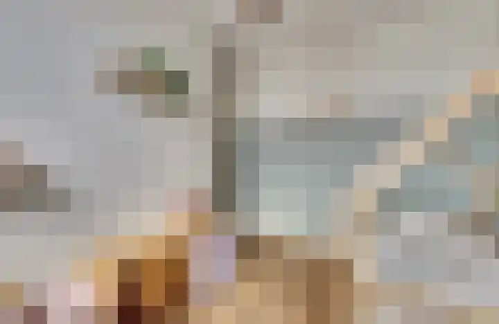 Zeldenrustlaan 20 Raamsdonksveer thumbnail 25