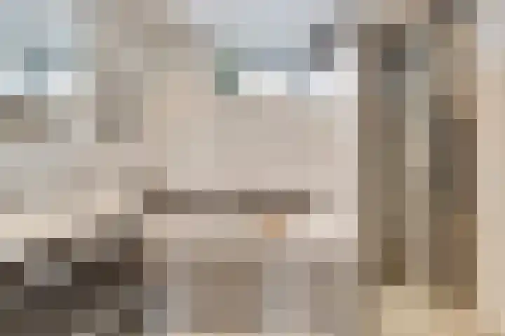 Zeldenrustlaan 20 Raamsdonksveer thumbnail 26