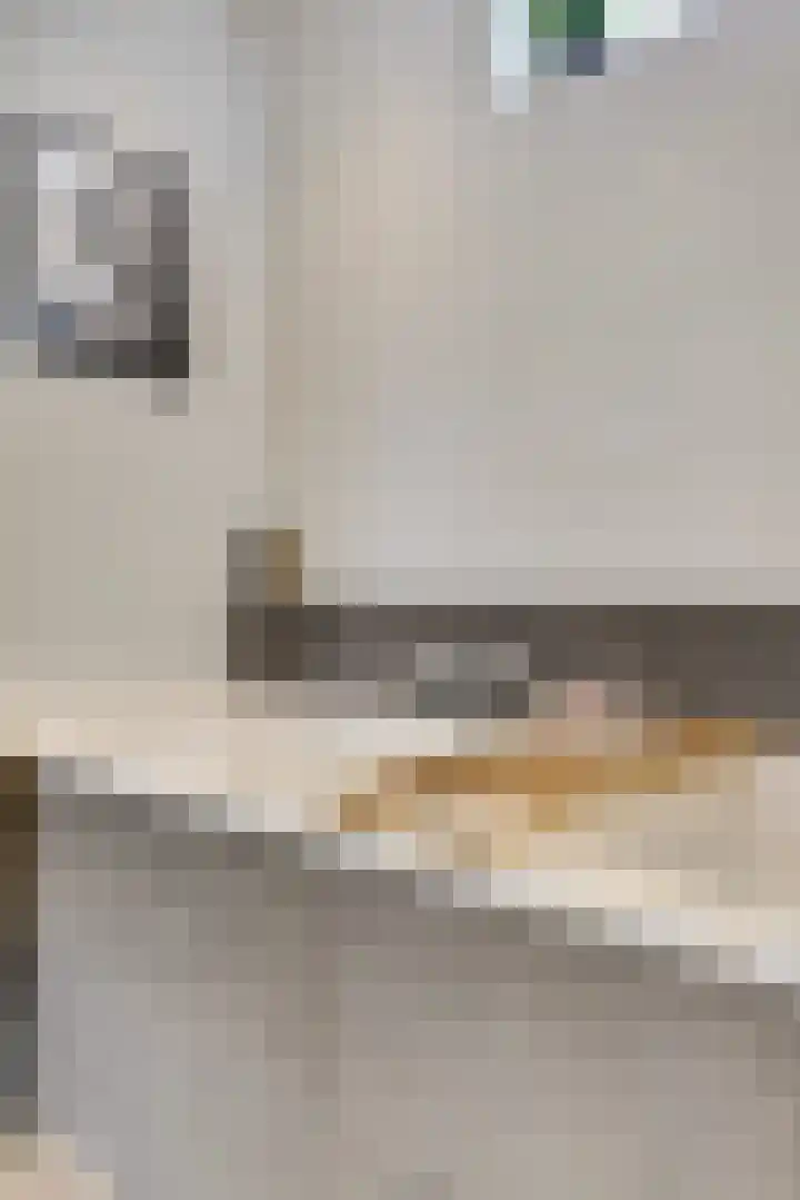 Zeldenrustlaan 20 Raamsdonksveer thumbnail 27