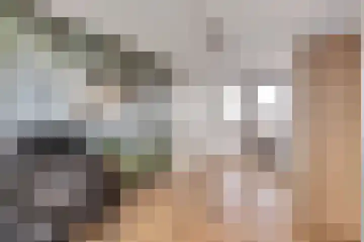 Zeldenrustlaan 20 Raamsdonksveer thumbnail 33