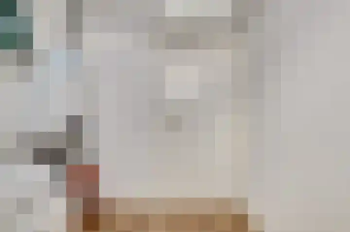 Zeldenrustlaan 20 Raamsdonksveer thumbnail 36