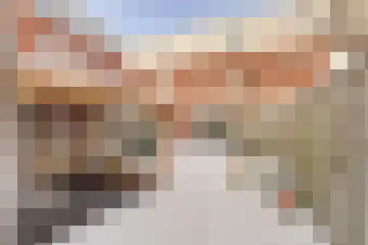 Zeldenrustlaan 20 Raamsdonksveer thumbnail 38