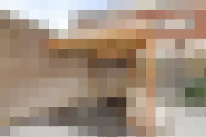 Zeldenrustlaan 20 Raamsdonksveer thumbnail 40