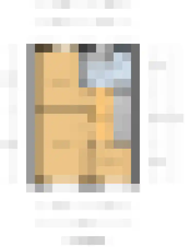 Zeldenrustlaan 20 Raamsdonksveer thumbnail 42