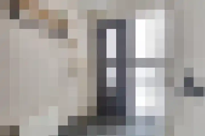 Zeldenrustlaan 20 Raamsdonksveer thumbnail 5