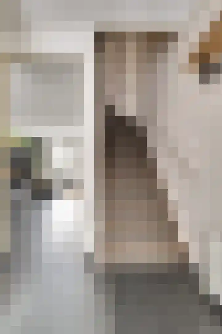 Zeldenrustlaan 20 Raamsdonksveer thumbnail 6