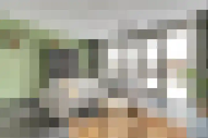 Zeldenrustlaan 20 Raamsdonksveer thumbnail 8