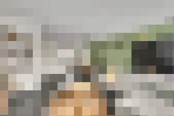 Zeldenrustlaan 20 Raamsdonksveer thumbnail 9