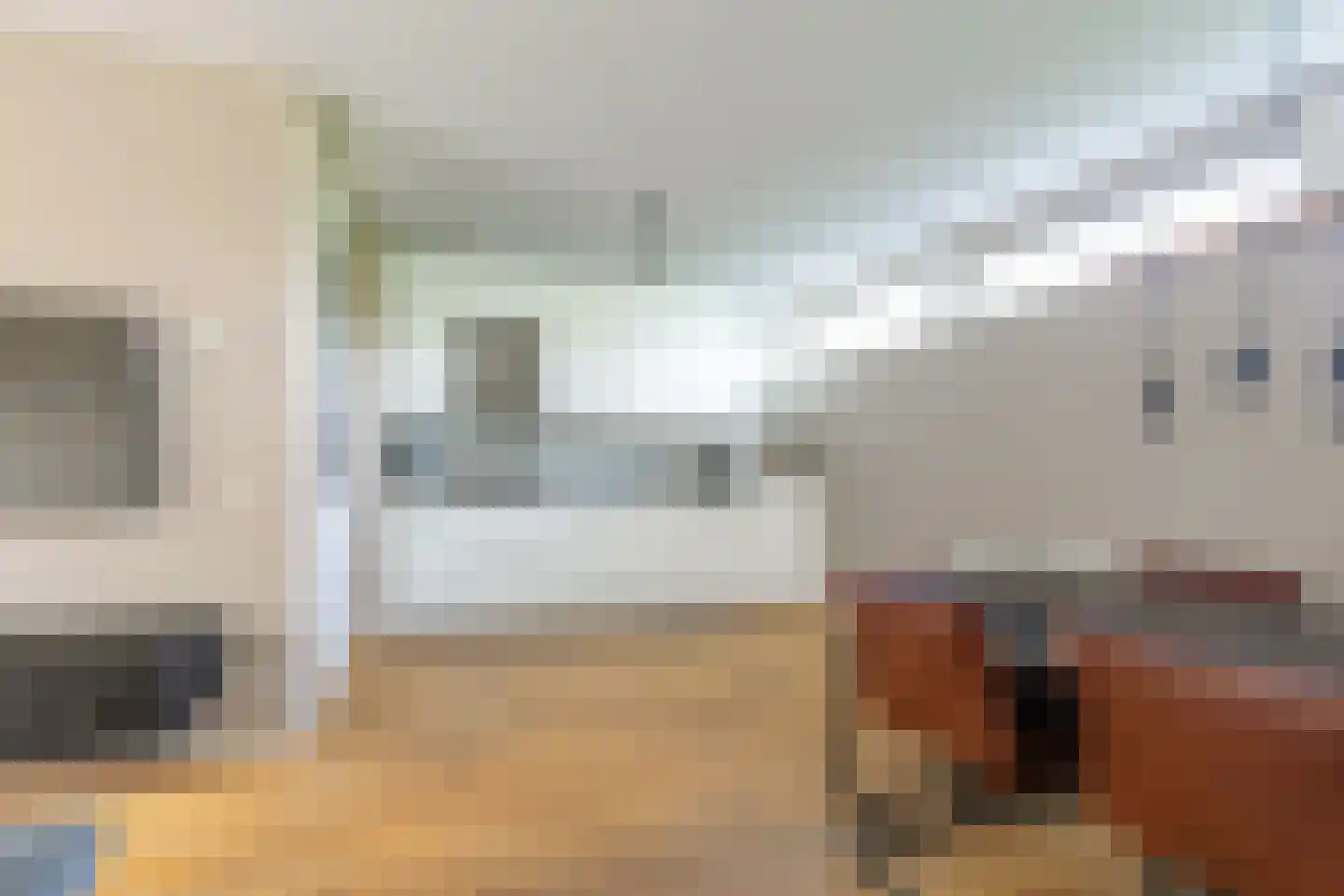 Zeldenrustlaan 25 Raamsdonksveer thumbnail 15