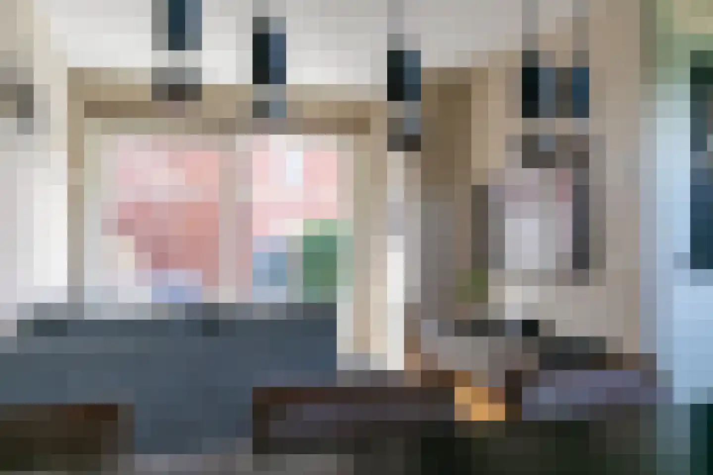 Zeldenrustlaan 25 Raamsdonksveer thumbnail 21