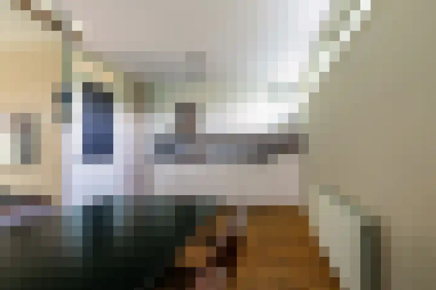 Zeldenrustlaan 25 Raamsdonksveer thumbnail 22