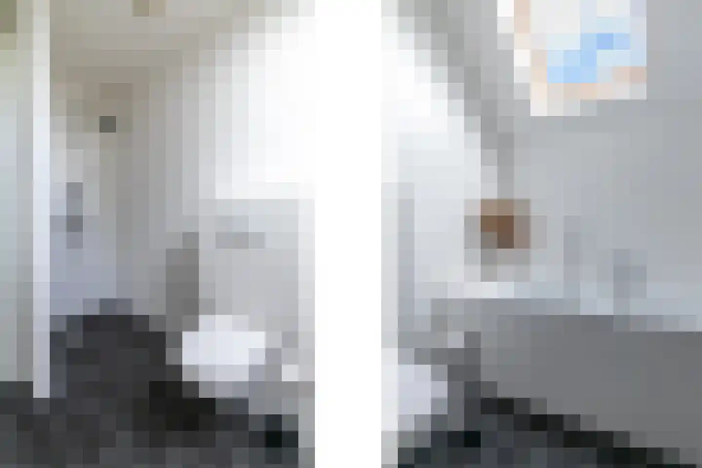 Zeldenrustlaan 25 Raamsdonksveer thumbnail 27